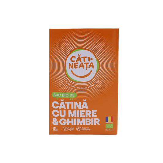 Cătineață cu miere și ghimbir 3L – băutură naturală pentru imunitate și energie
